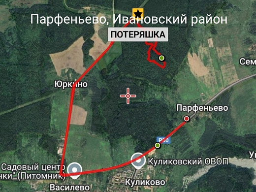 Ивановские поисковики и пес Талисман вывели из леса двух потеряшек
